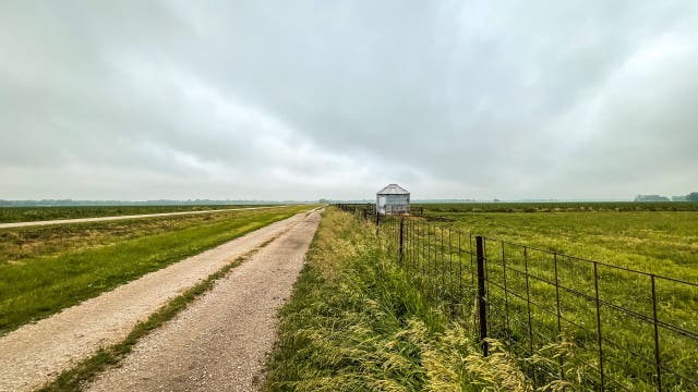 6 dead in Colorado dairy farm accident