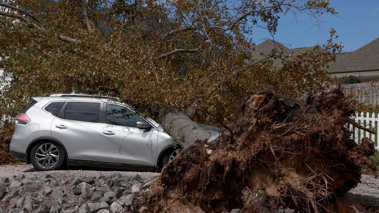 South Carolina man carves ‘storm bowls’ out of trees brought down by Helene