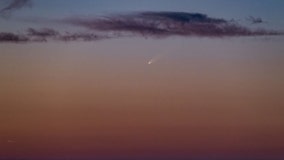 Massive comet zooming through solar system could be alien technology, Harvard astrophysicist says