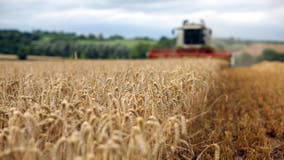 Annual survey reveals the industries that Americans love, hate the most