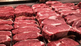 Lab-grown meat ban goes into effect in Texas, faces legal challenge