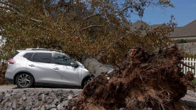South Carolina man carves 'storm bowls' out of trees brought down by Helene