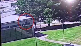 Charlie Kirk shooting: New video shows alleged gunman fleeing scene