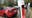 Parents say defective Tesla door handles trapped kids in back seat