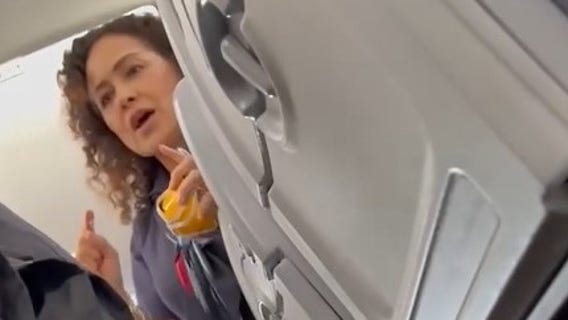 Watch: American Airlines passenger removed after telling crew to ‘shut up’