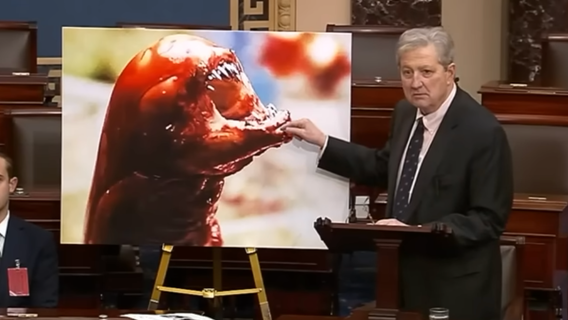 Eating radioactive shrimp could turn you into an alien, US senator claims
