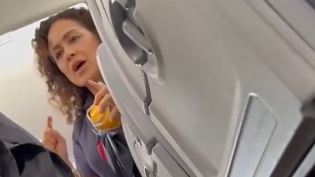 Watch: American Airlines passenger removed after telling crew to ‘shut up’