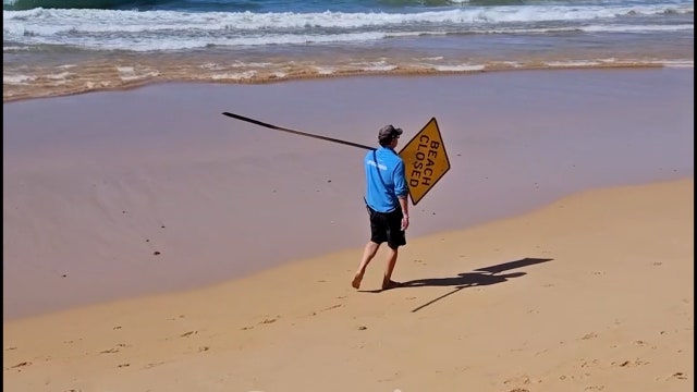 Man dies in shark attack at Sydney beach