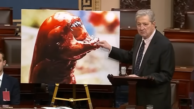 Eating radioactive shrimp could turn you into an alien, US senator claims