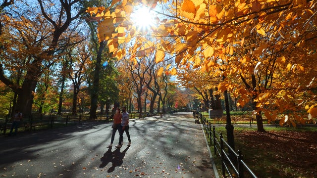 Fall has gotten hotter in 98% of U.S. cities: Here's where it's worst