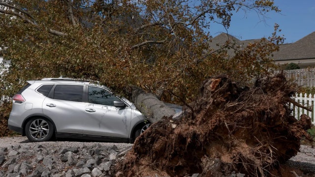 South Carolina man carves 'storm bowls' out of trees brought down by Helene