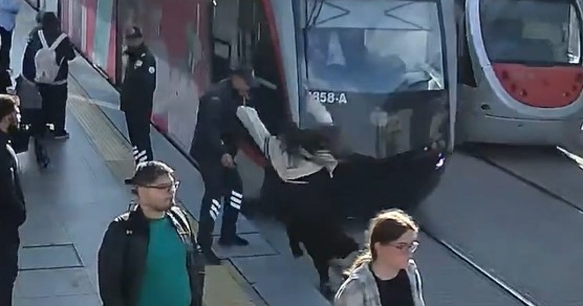 Watch: Security guard saves woman from oncoming tram in Turkey | FOX 13 ...