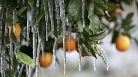 Map: Average first freeze dates have shifted later for most of the US since 1970