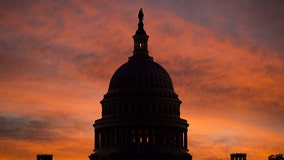 Federal workers brace for missed paycheck as shutdown enters 5th week