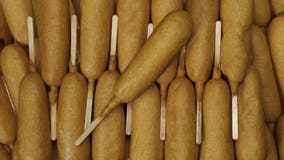 Corn dog recall: More Foster Poultry Farms products added