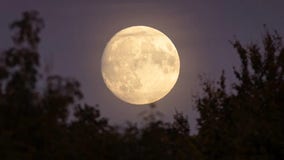 Here's when you can see fall's Harvest Supermoon