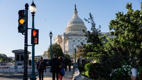 Judge halts Trump administration from firing federal workers during shutdown