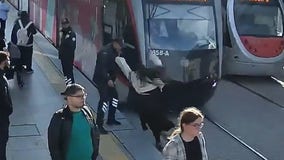 Watch: Security guard saves woman from oncoming tram in Turkey