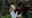 Jane Goodall cause of death revealed: Report