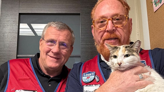 Lost and found: Lowe’s store cat's 85-mile journey ends in happy reunion