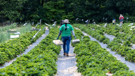 These are the greenest cities in the U.S. in 2025, data shows