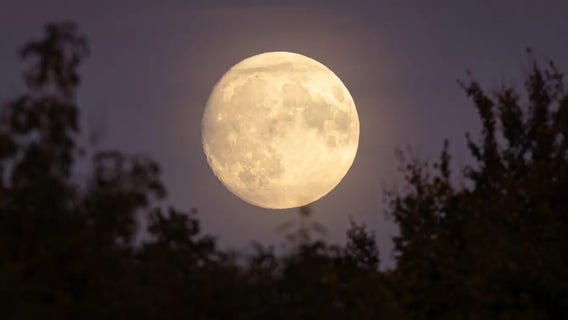 Here's when you can see fall's Harvest Supermoon