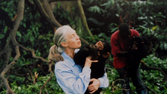Jane Goodall cause of death revealed: Report