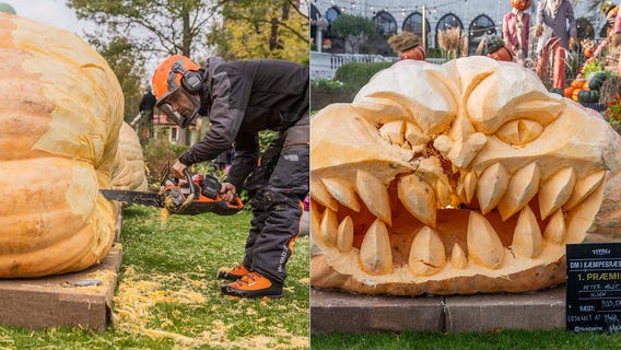Photos: Giant, award-winning pumpkins transformed into Jack-o’-Lantern art