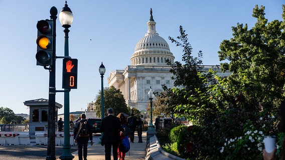 Judge halts Trump administration from firing federal workers during shutdown