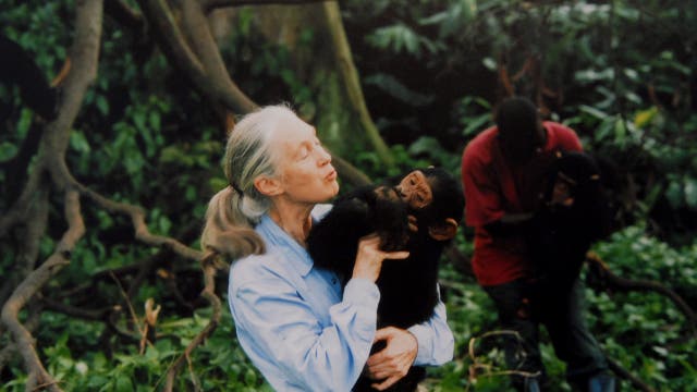 Jane Goodall cause of death revealed: Report
