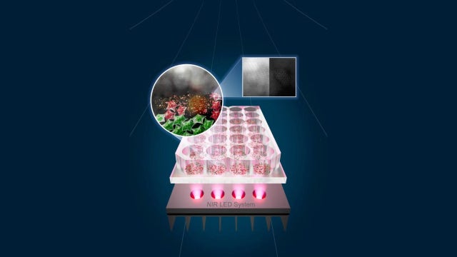 Promising cancer treatment using LED light and tin flakes kills skin and colon cancer cells in 30 minutes
