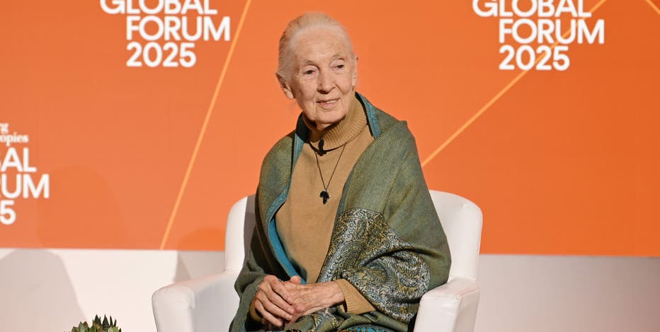 Jane Goodall, renowned conservationist, dies at 91