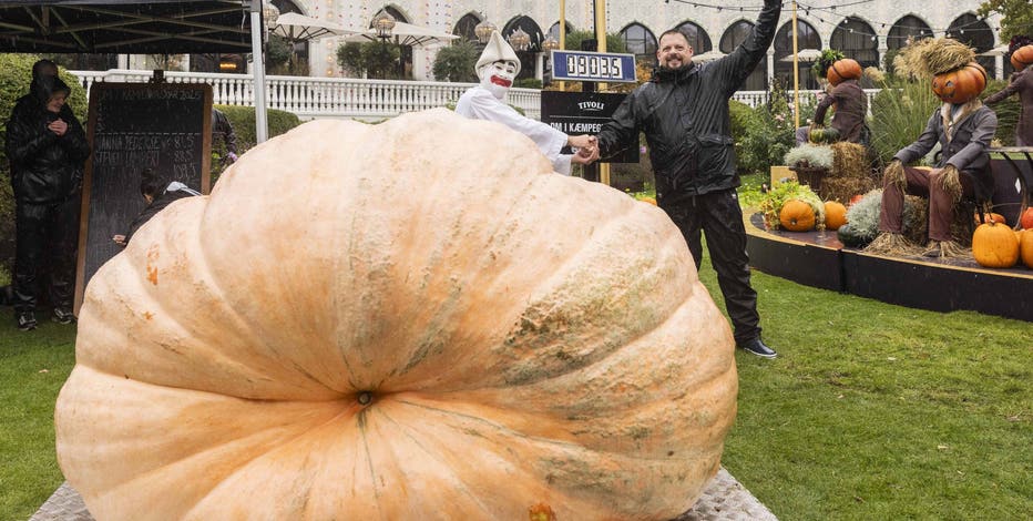 winner-of-the-danish-giant-