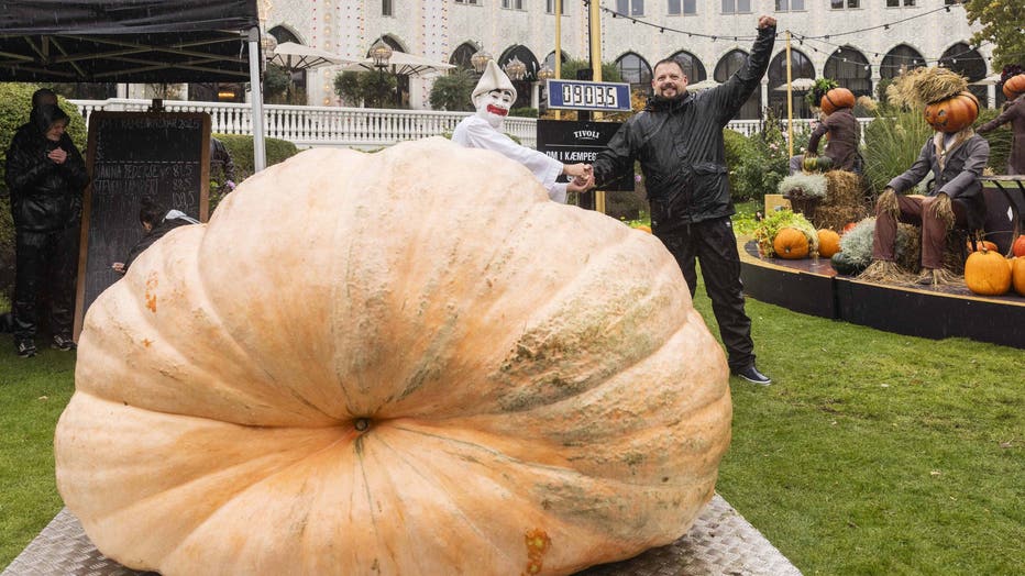 Photos: Giant, award-winning pumpkins transformed into Jack-o