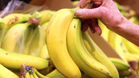 Trump administration announces trade deal which could lower prices of bananas, coffee