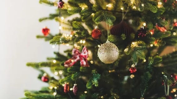 'Too early for Christmas'? Americans clash as stores push holiday tree sales