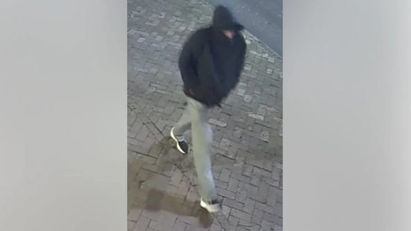 College student vanishes on Halloween just 'minutes' from home