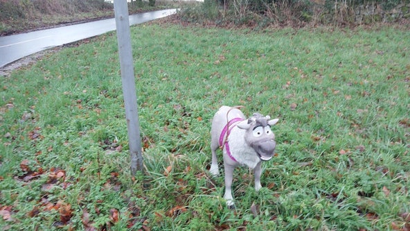 Abandoned ‘dog’ turns out to be toy reindeer: ‘Santa’s reindeer resting after a test flight’