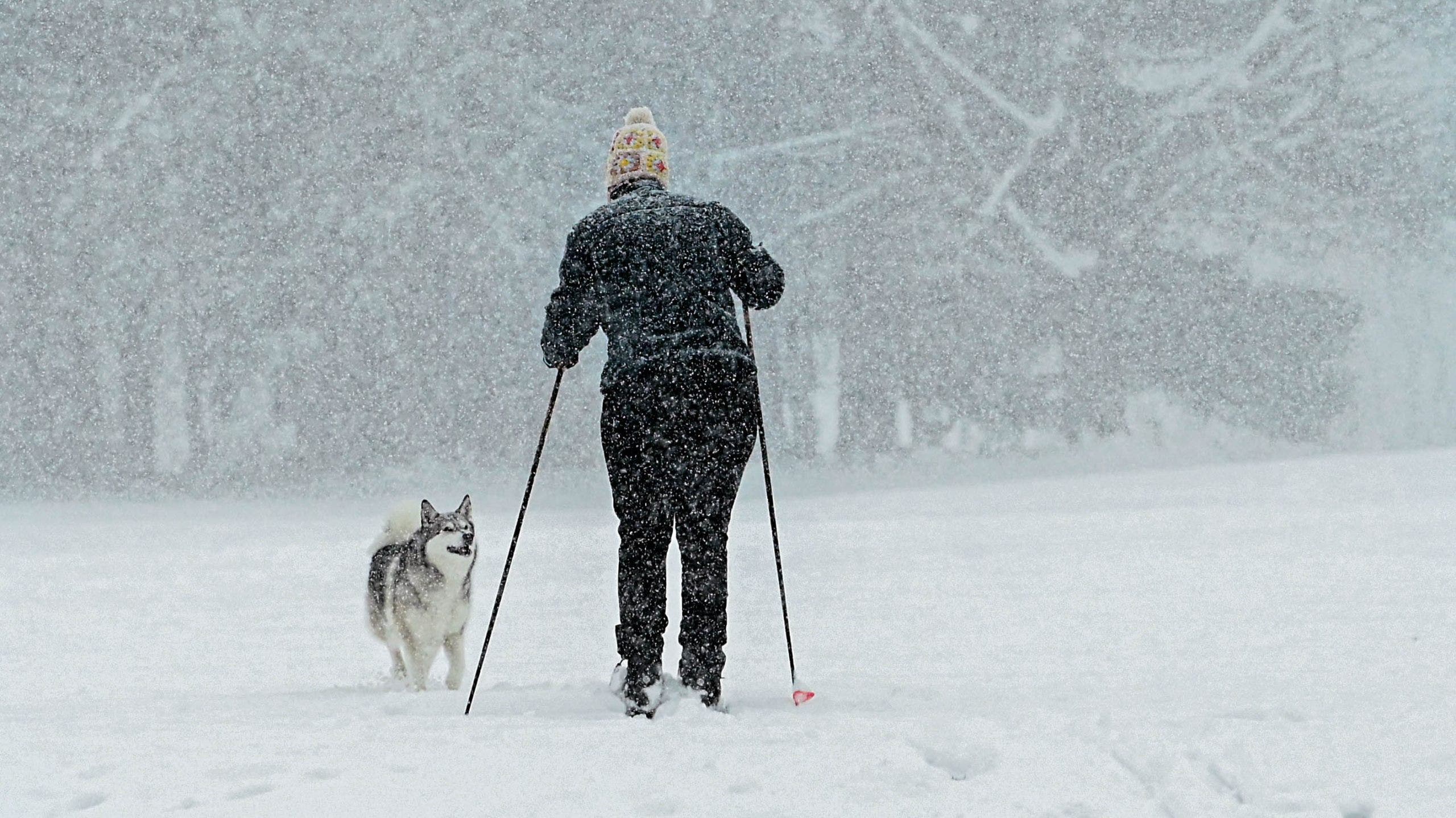 Feeling SAD? Here's how to beat the winter blues