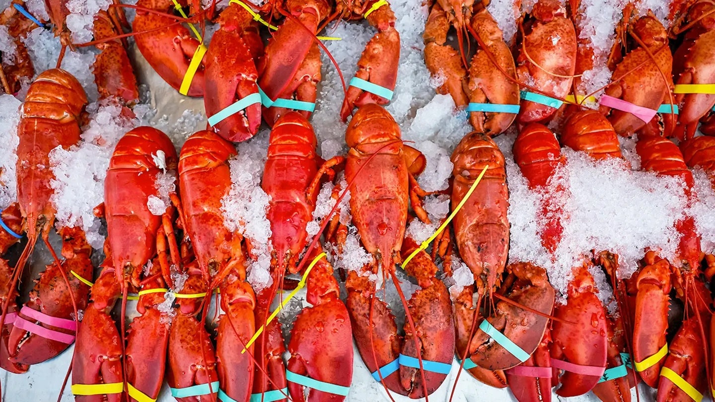 $400k shipment of live lobsters hijacked en route to Midwest Costco locations