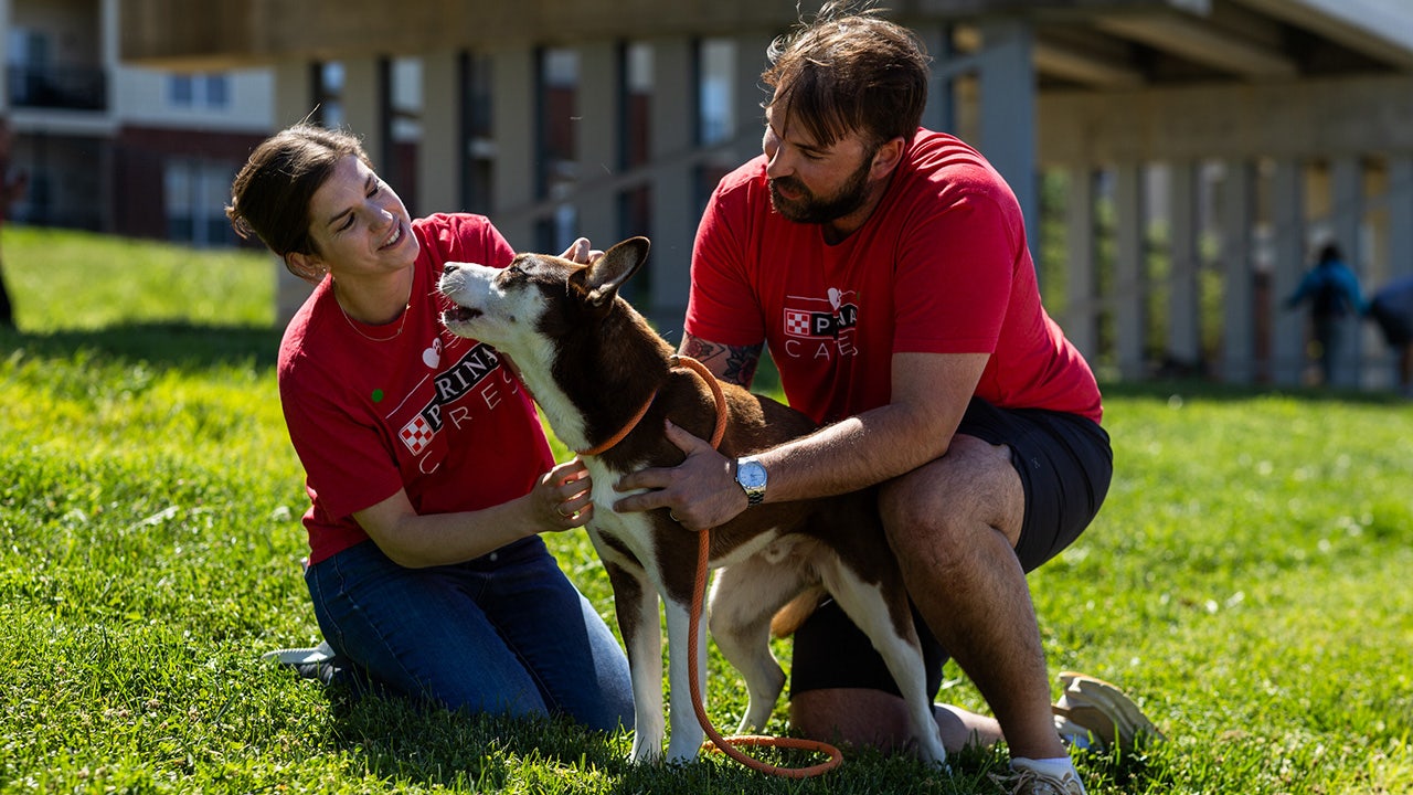 Purina Foundation awards $1.165 million in grants to nonprofits across US to support animal welfare efforts