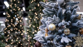 How much can you expect to pay for Christmas trees this year?