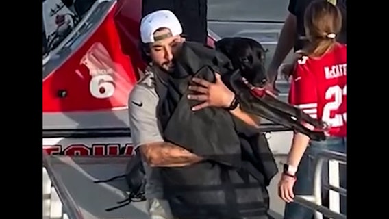 'A miracle happened': Lifeguards rescue runaway dog swept out to sea in rip current