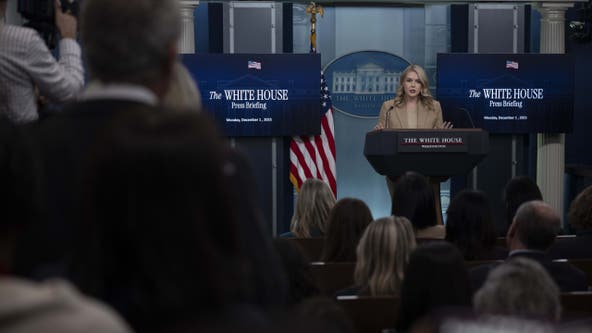 Judge orders ICE release of immigrant with ties to Karoline Leavitt