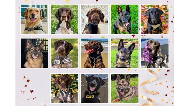TSA’s 2026 Canine Calendar spotlights the canine heroes keeping US airports safe - See the featured dogs