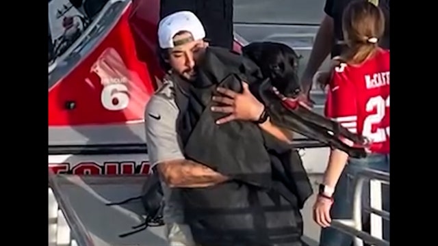'A miracle happened': Lifeguards rescue runaway dog swept out to sea in rip current
