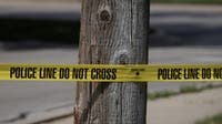 Homicide rates dropped in most US cities last year, report finds