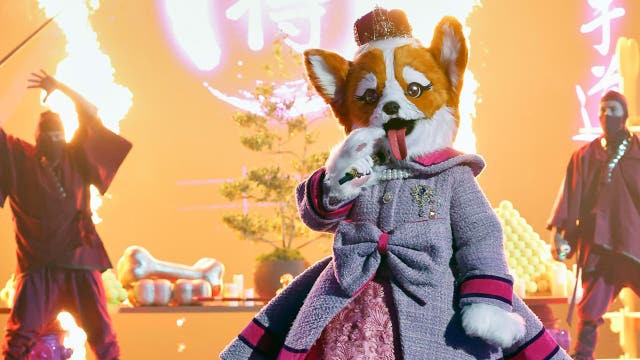‘The Masked Singer’: Queen Corgi chooses to leave competition; here’s who it is