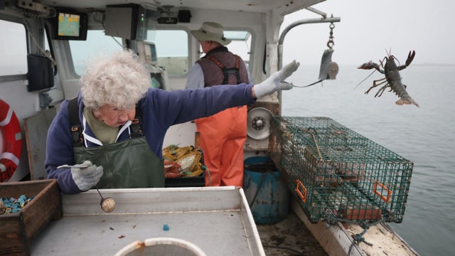 One of world's oldest lobster fishers, Virginia Oliver, dies in Maine at 105