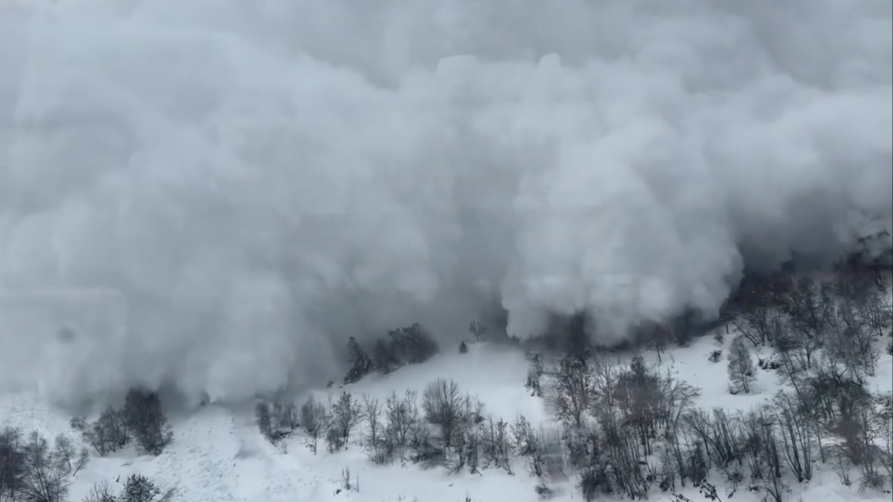 Video shows terrifying moment when avalanche collides with moving train